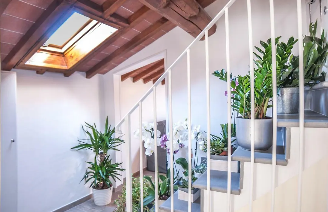 Cascine Home Holidays-1